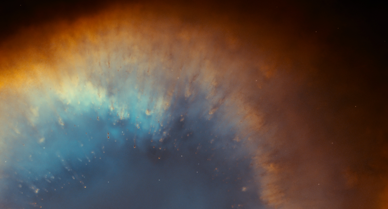 Illustration for article titled Gorgeous Tree of Life stills look like the greatest science epic of all time